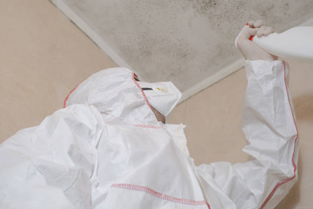 Best Fast Mold Removal  in St Pauls, NC