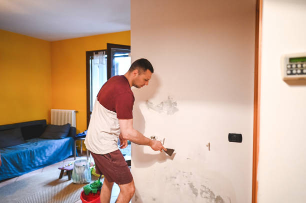 Best Mold Removal and Inspection  in St Pauls, NC